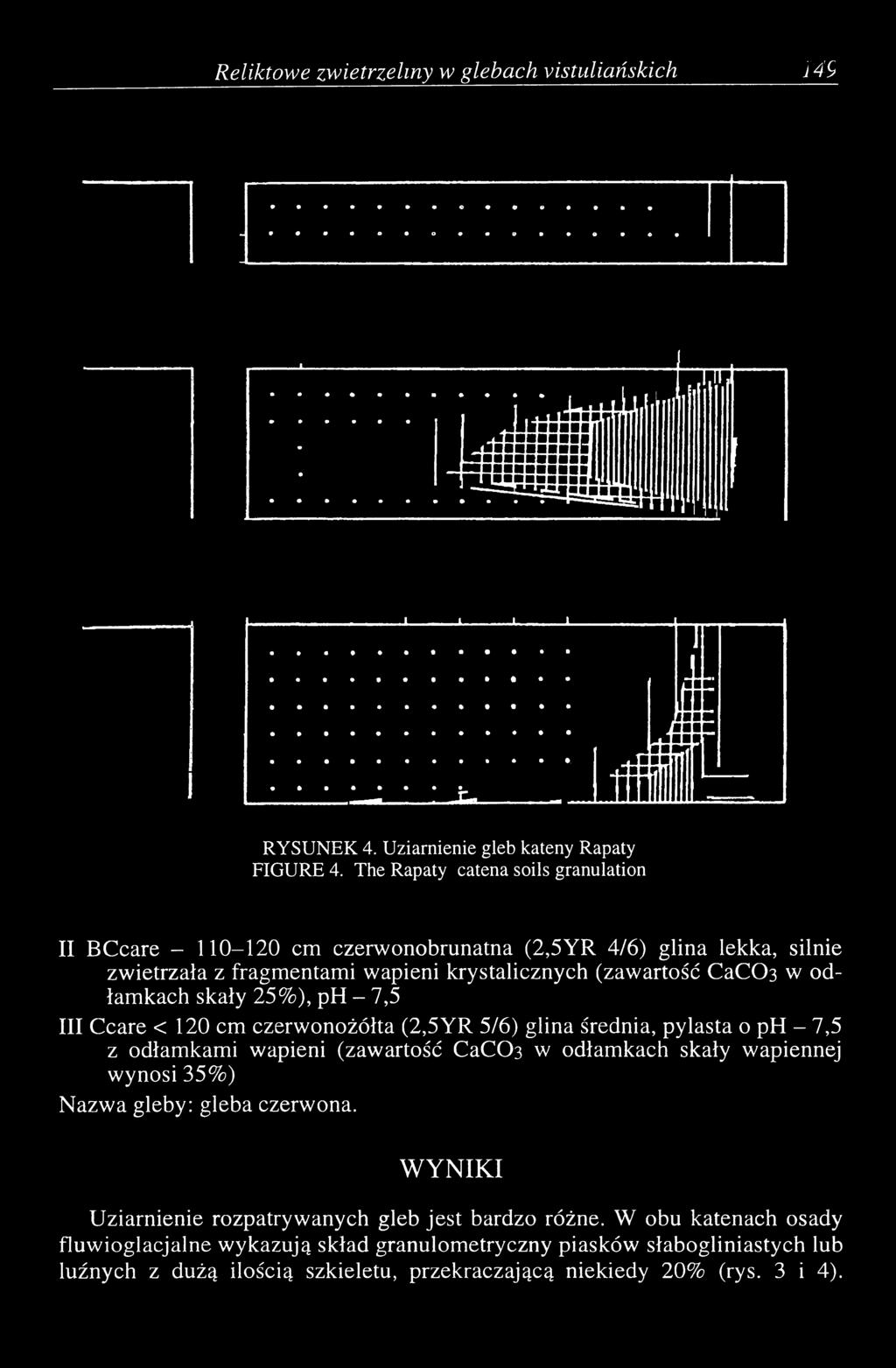 odłamkach skały 25%), ph - 7,5 III Ccare < 120 cm czerwonożółta (2,5YR 5/6) glina średnia, pylasta o ph - 7,5 z odłamkami wapieni (zawartość СаСОз w odłamkach skały wapiennej wynosi