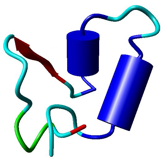 Zwijanie białka dyfuzyjno-zderzeniowoadhezyjny In sekwencyjny N U U N In N rosnącego zarodka U