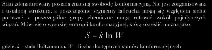 Zwijanie białka Stan zdenaturowany posiada znaczną swobodę konformacyjną.