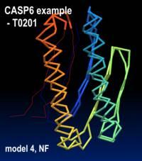struktury białka grupa