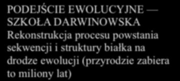 Dwa podejścia PODEJŚCIE EWOLUCYJNE SZKOŁA DARWINOWSKA Rekonstrukcja procesu powstania sekwencji i