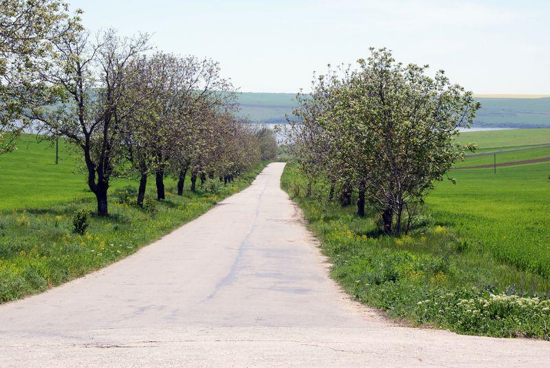 Co warto sprawdzić przed zakupem działki?