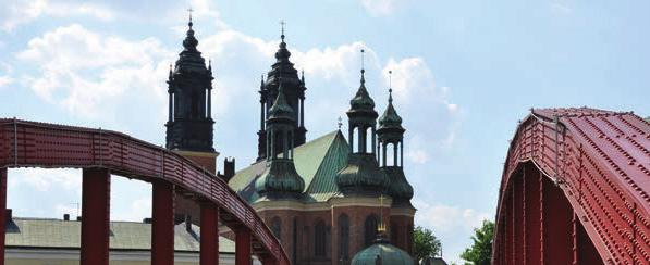 4. Wprowadzając w kolejny etap lekcji, przypominamy, że Pan Jezus w swoim nauczaniu często odwoływał się do świata przyrody. 5. Czytamy tekst Mt 13,31-32 (załącznik 2).