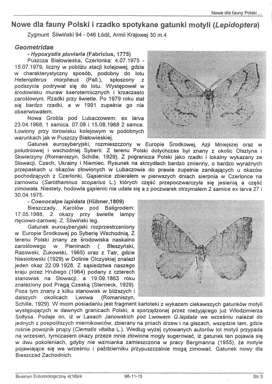 Nowe dla fauny Polski... Nowe dla fauny Polski i rzadko spotykane gatunki motyli (Lepidoptera) Zygmunt Śliwiński 94-046 Łódź, Armii Krajowej 30 m.