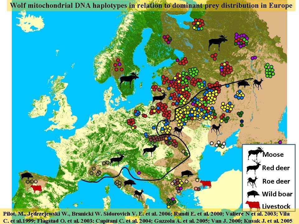 The best model explaining variation in probability of wolf occurrence, selected by Akaike Information Criterion from a set of multiple regression models Independent sr 2 i Significance variable