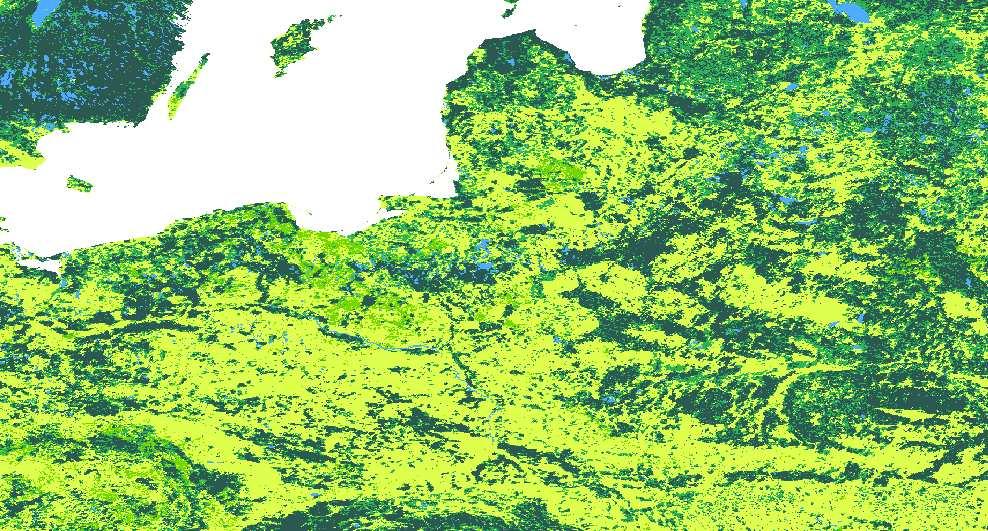 Fragmentacja lasów w Europie Środkowo-Wschodniej Wiele gatunków