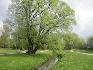 jakość życia