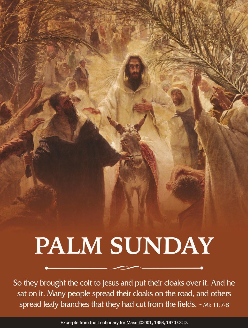 Michael Michalik 815-397-7330 Chm., Pastoral Council Mrs. Marzena Steigerwald 815-482-1788 Chm., Finance Council Mrs. Gail Vannetter 779-210-9312 Coordinator of Religious Education Mrs.
