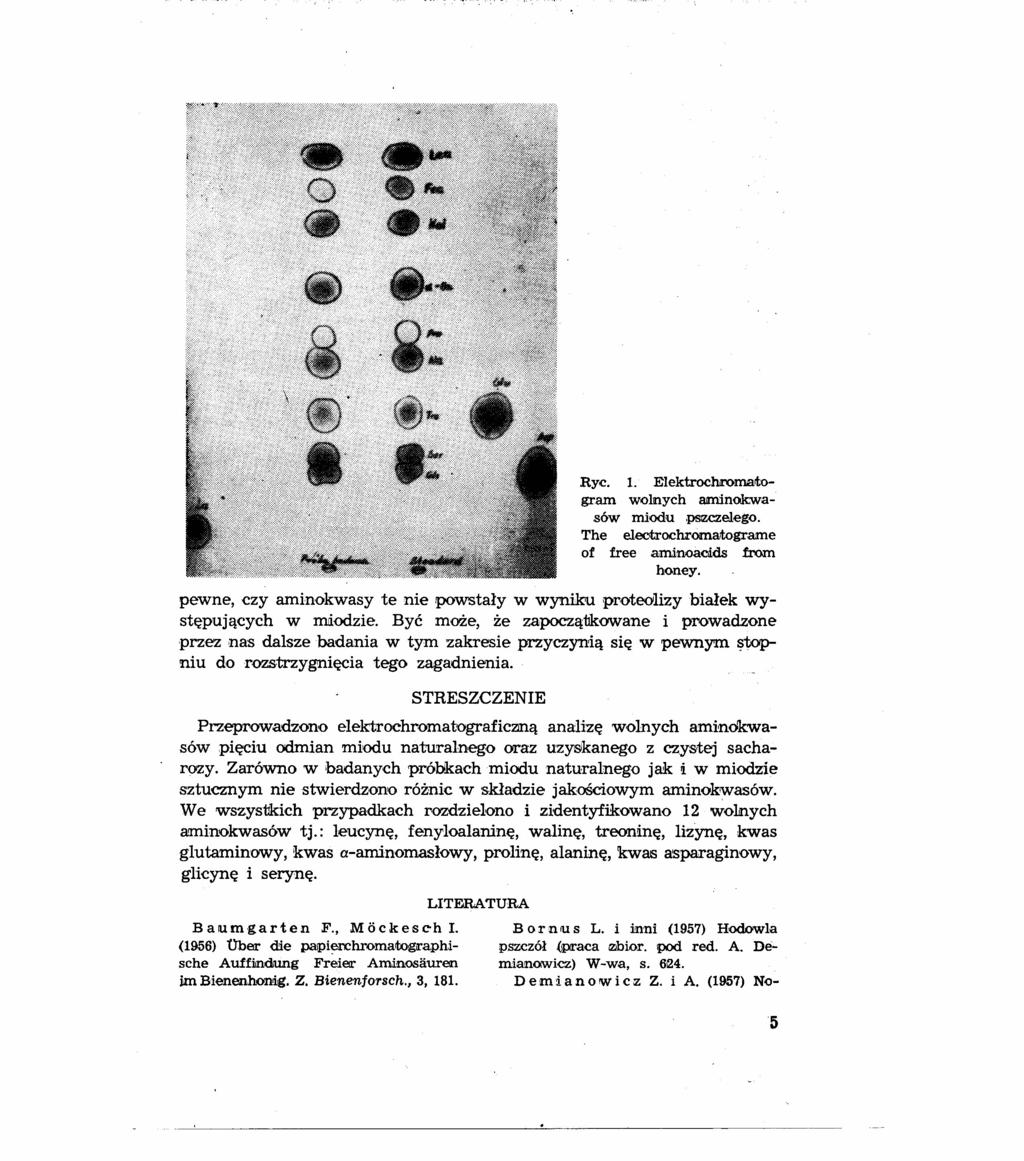 Ryc. 1. Elektrochromatogram wolnych aminokwasów miodu pszczelego. The electrochrcmatograme of free amlnoaeids f:rom honey.
