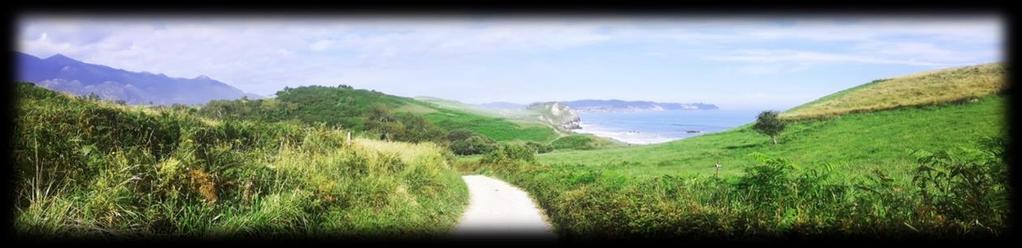 Camino del Norte Mimo, że w schronisku jest 14 miejsc to 5 łóżek nadal jest wolnych i czeka na zmęczonych wędrowców.