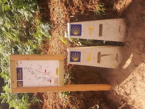 Wiemy, że na Camino szlak zawsze prowadzi tą trudniejszą trasą i nie