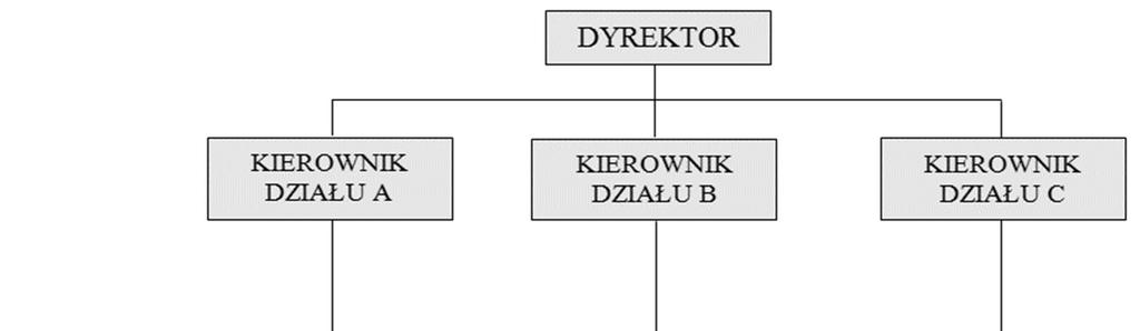 nalnej. Podwójne podporządkowanie może prowadzić do niejasności i sporów kompetencyjnych, a niestałość zadań przyczynia się do wzrostu poczucia niepewności uczestników organizacji. Rys. 7.