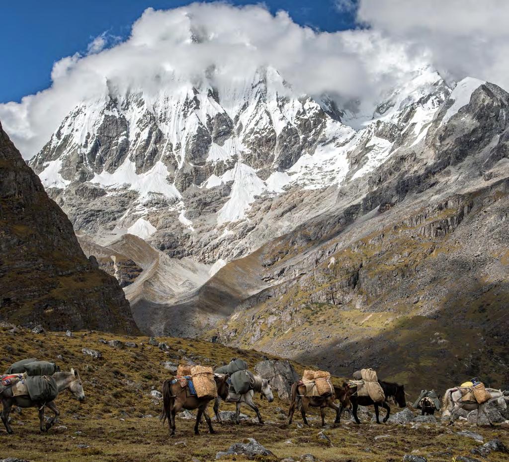 Dzień 11 : Laya Koina - Gasa (Hotspring) (Trekking 19 km; 7 godz., przyrost 260 m utrata 1070 m wysokości) Dzień 12 : Gasa Thimphu (135 km; 5 godz.