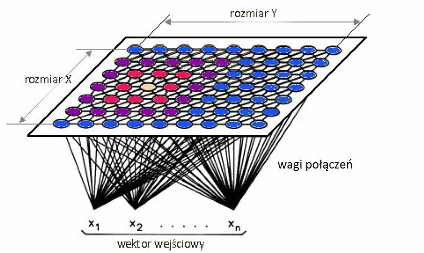 Celem tych sieci jest przekształcanie złożonych, wielowymiarowych sygnałów wejściowych w prostsze, mniej wymiarowe dyskretne odwzorowania.
