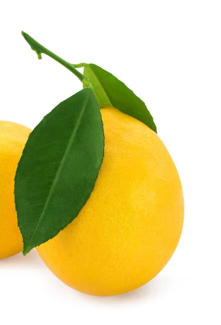 i fosforu NIE ZAWIERA: orzeszków ziemnych, soi, mleka żelatyny wieprzowej (stworzony na bazie pektyn) sztucznych barwników, aromatów i konserwantów HEALTHY BONES GUMMIES ``suplementacja dla całej