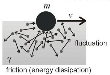 Stochastic approach Dynamical effect path from equilibrium to scission slowed-down by the nuclear viscosity description of the time evolution of the collective variables like the evolution of