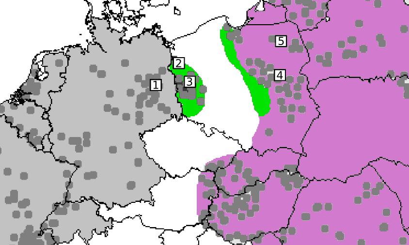 Przypadek Dermacentora Kloch