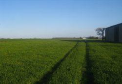 https://www. fot. AgroFoto.pl, użytkownik: misio3p W celu opanowania przeciętnego zachwaszczenia należy się liczyć z kosztami w granicach od 40 do 70 zł/ha.