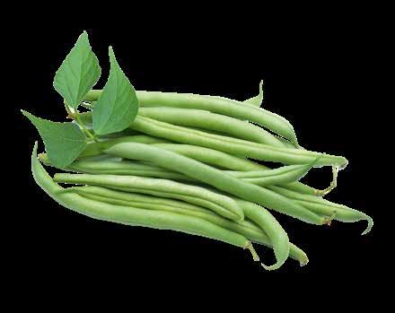 Seeds Hiszpania (nasiona papryki i pomidorów) SPIS TREŚCI Pomidory