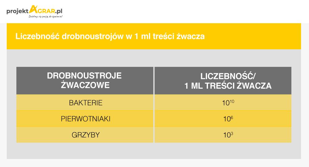 Ważne drobnoustroje Żeby zrozumieć specyfikę żywienia bydła, które należy do przeżuwaczy, należy mieć świadomość, że czynności trawienne przebiegają u nich inaczej niż u pozostałych ssaków.