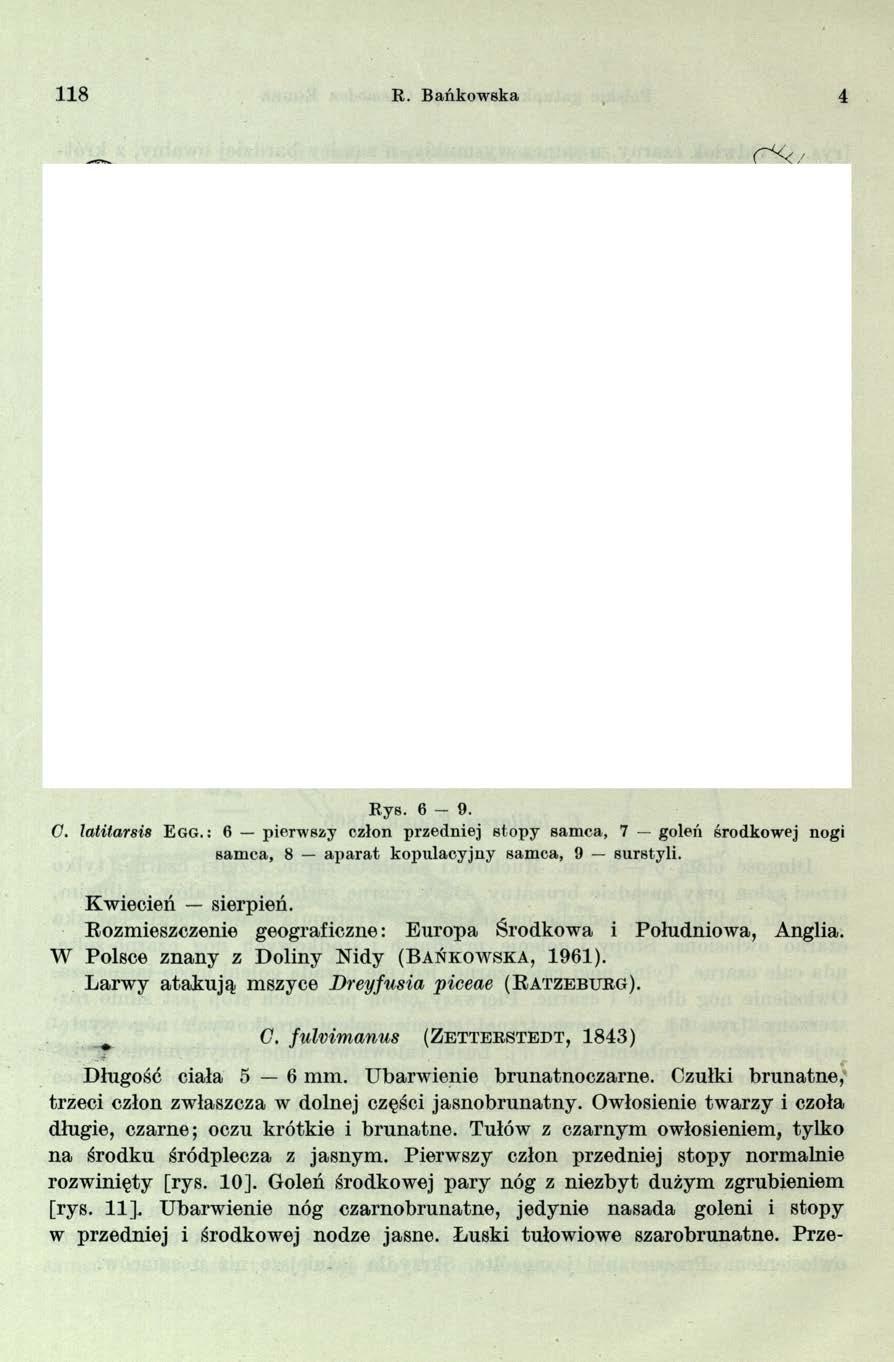 118 R. Bańkow ska 4 Rys. 6 9. C. latitarsis E gg.: 6 pierwszy człon przedniej stopy samca, 7 goleń środkowej nogi sam ca, 8 a p a rat kopulacyjny sam ca, 9 surstyli. Kwiecień sierpień.