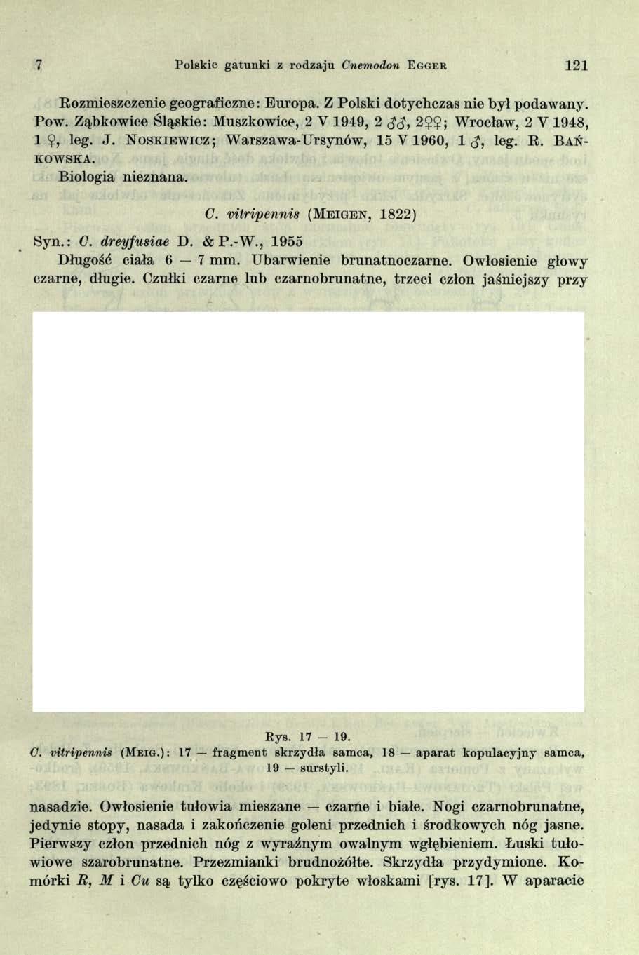 7 Polskie gatunki z rodzaju Cnemodon E ggek 121 Rozmieszczenie geograficzne: Europa. Z Polski dotychczas nie był podawany. Pow.