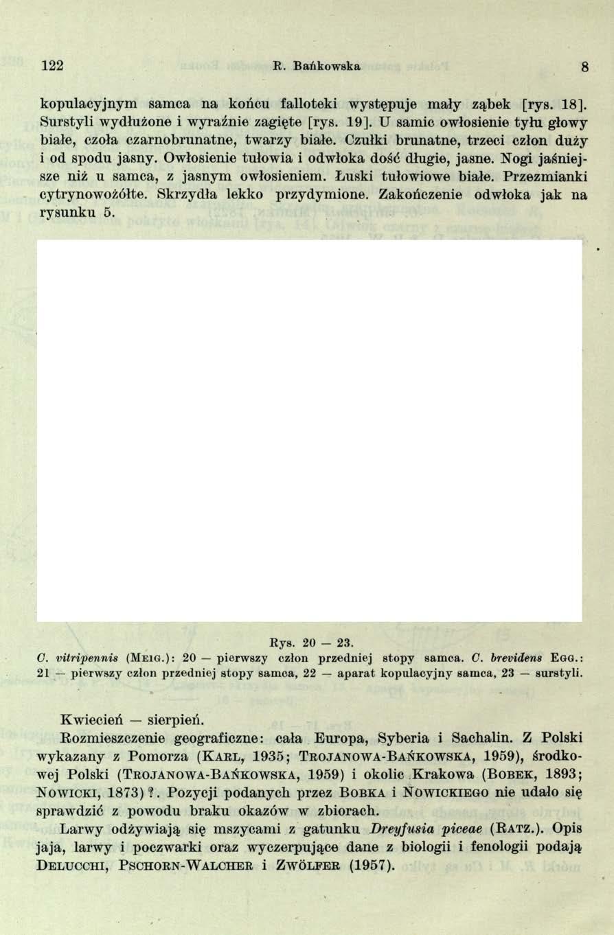 122 R. Bańkow ska 8 kopulacyjnym samca na końcu falloteki występuje mały ząbek [rys. 18]. Surstyli wydłużone i wyraźnie zagięte [rys. 19].