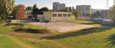 Opublikował także prawie 300 artykułów, zamieszczonych w pismach naukowych, wydawnictwach popularnych i tzw. prasie lokalnej. W 2004 r.