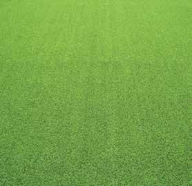 700 m 2 powierzchni trawnika 4757 Li VS maks.