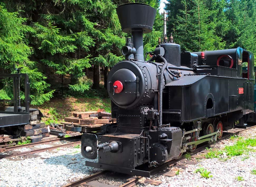 EZÚS TATRY PROJEKTOVÝ MANAŽÉR MÚZEÁ NA KOĽAJNICIACH Vďaka aktivitám naplánovaným v mikroprojekte s názvom MÚZEUM NA KOĽAJNICIACH OBJAVUJEME HISTÓRIU ÚZKOROZCHODNÝCH ŽELEZNÍC NA POĽSKO SLOVENSKOM