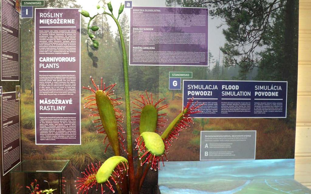 EGTC TATRY PROJECT MANAGER MAGICAL WORLD OF CROSS-BORDER PEAT BOGS A multimedia map of peat bogs, a stand with microscopes for experiments, simulators these are only some of the attractions in