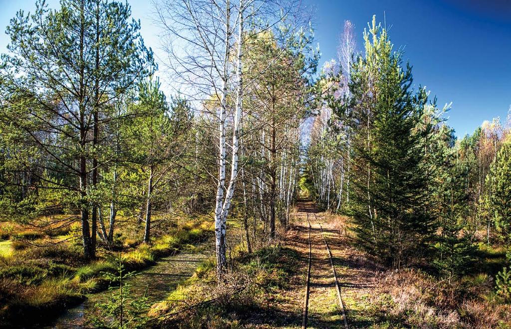 EGTC TATRY PROJECT MANAGER MUSEUMS ON TRACKS The activities planned in the micro-project entitled MUSEUM ON TRACKS DISCOVERING THE HISTORY OF THE NARROW- GAUGE RAILWAY ON THE POLISH- SLOVAK
