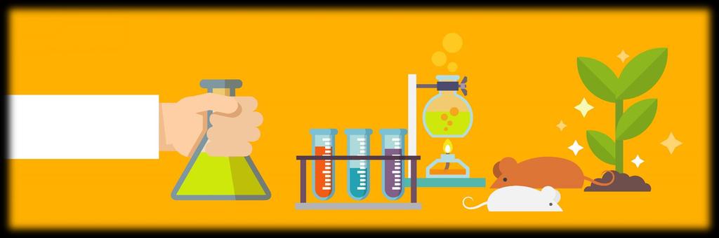 klasa 1C MEDYCZNA z programem autorskim: PRZEDMIOTY ROZSZERZONE biologia chemia angielski matematyka