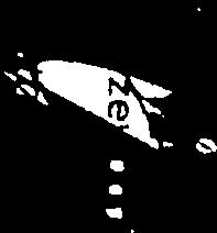 z o.o. NS.Z.