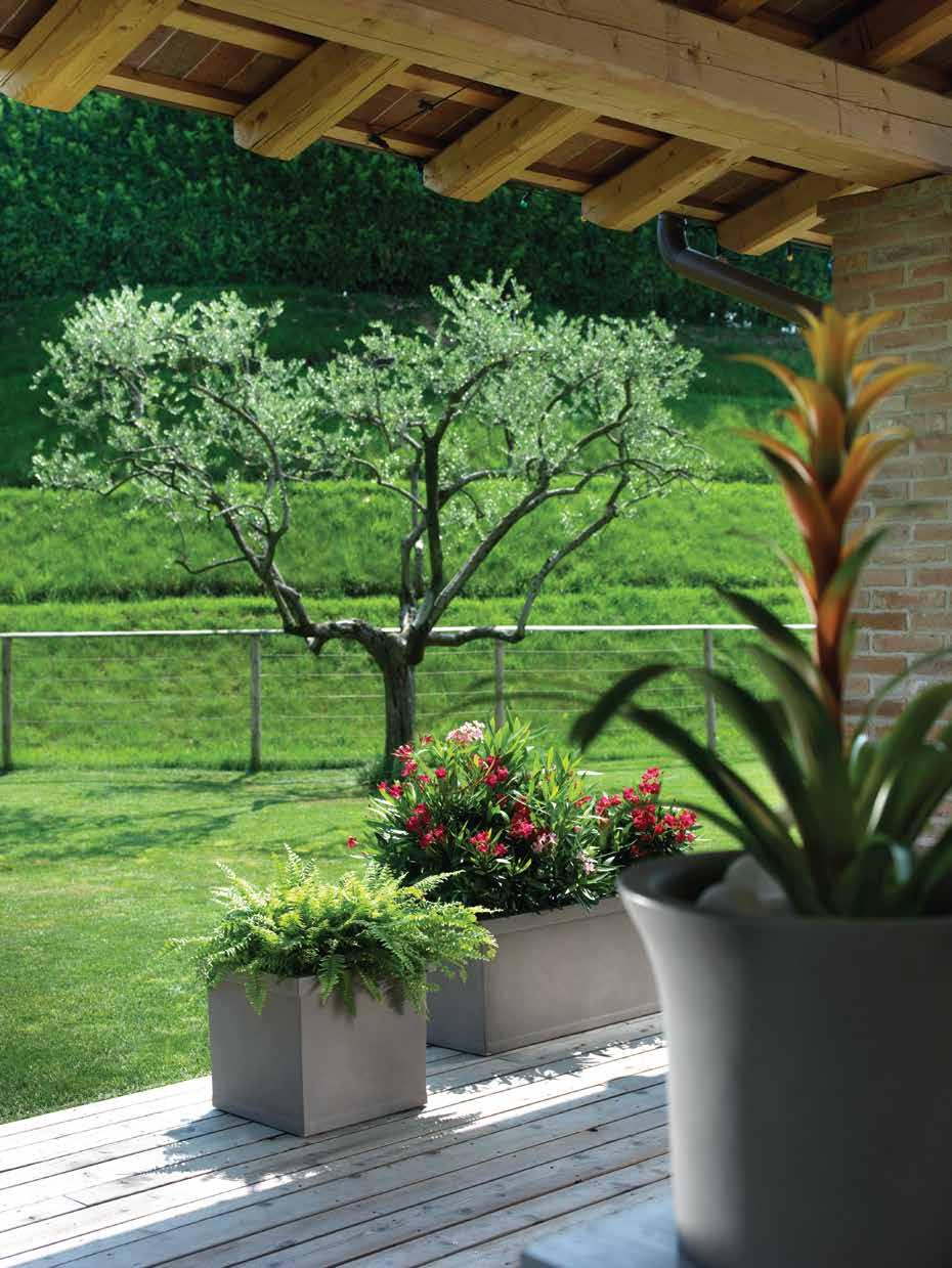 QUADRO LISCIO 55 201