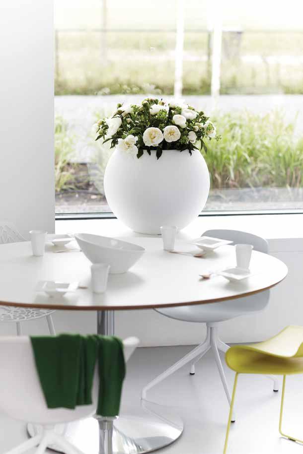 GLOBE KOLEKCJA / COLLECTION