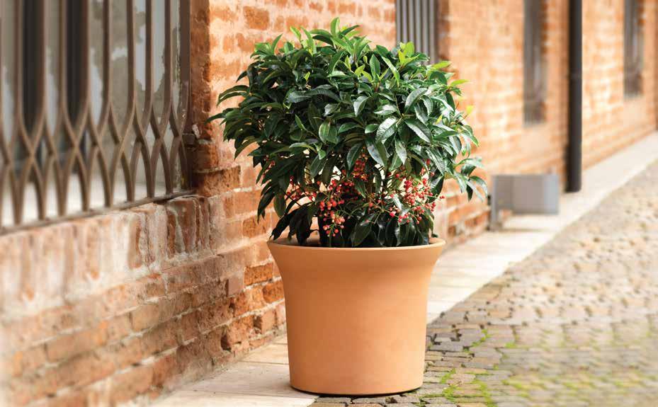 FLORA 380 030