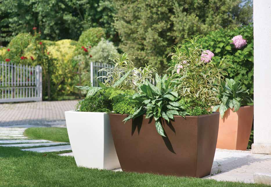 CASSA VENETO 80 039,