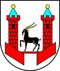 Załącznik do Uchwały Nr 247/XXXI/2017 Rady Miejskiej w