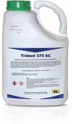 Topstar 375 SC Trident 375 SC Toprex 375 SC Topstar 375 SC i Trident 375 SC są środkami grzybobójczymi i regulatorami wzrostu w formie koncentratu stężonej zawiesiny do rozcieńczania wodą, o