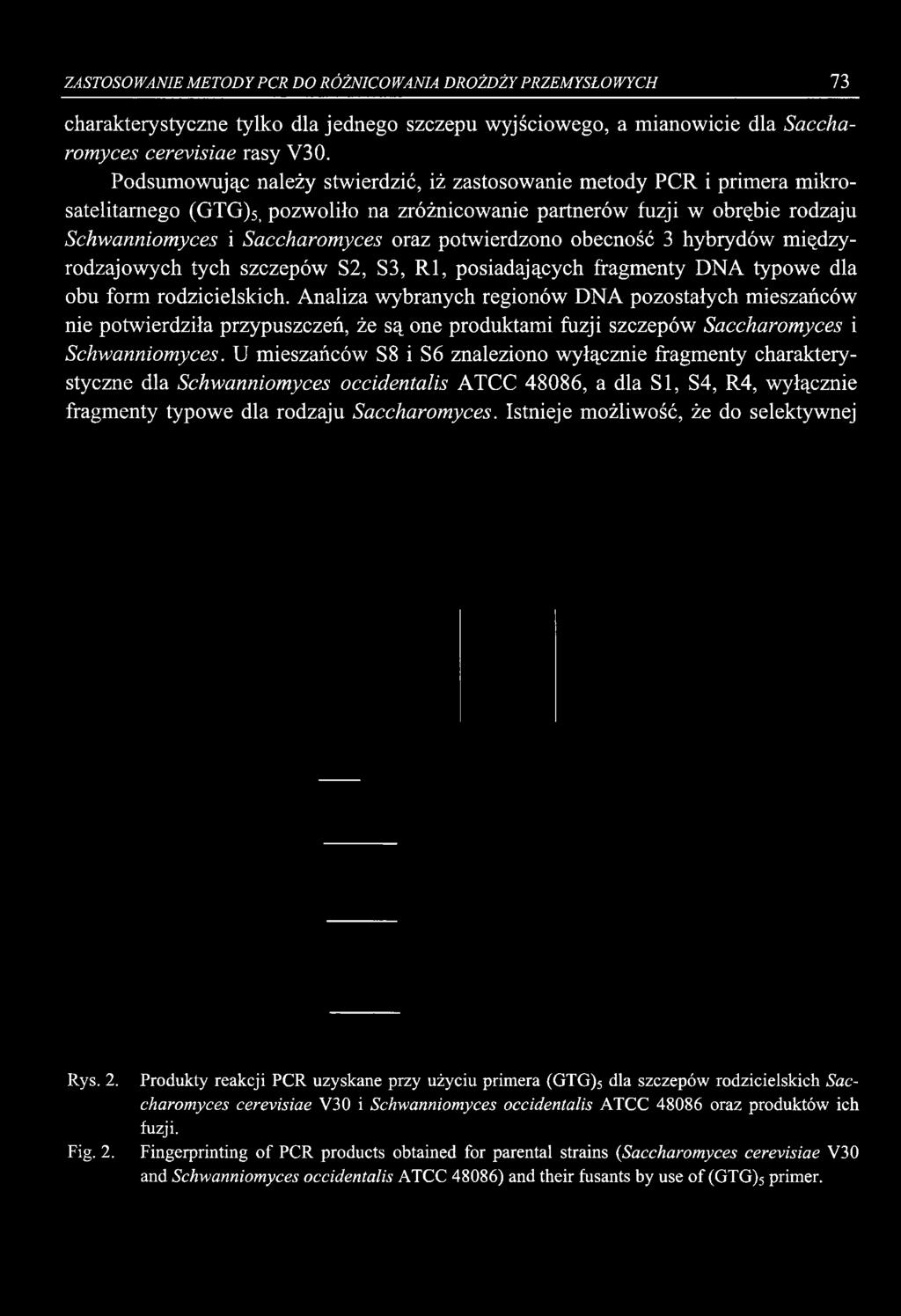 potwierdzono obecność 3 hybrydów międzyrodzajowych tych szczepów S2, S3, R l, posiadających fragmenty DNA typowe dla obu form rodzicielskich.