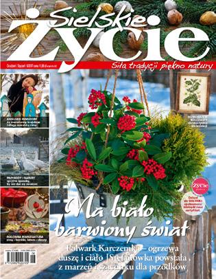 Sielskie Życie POMYSŁ NA ŻYCIE ulepiony z gliny ISSN 2083-022X 01 Jaka tu cisza i spokój Wiejskie murale do zobaczenia tylko w Polsce Gęsi Zakręt tu mieszka szczęście KACZKA I HIBISKUS sielskie