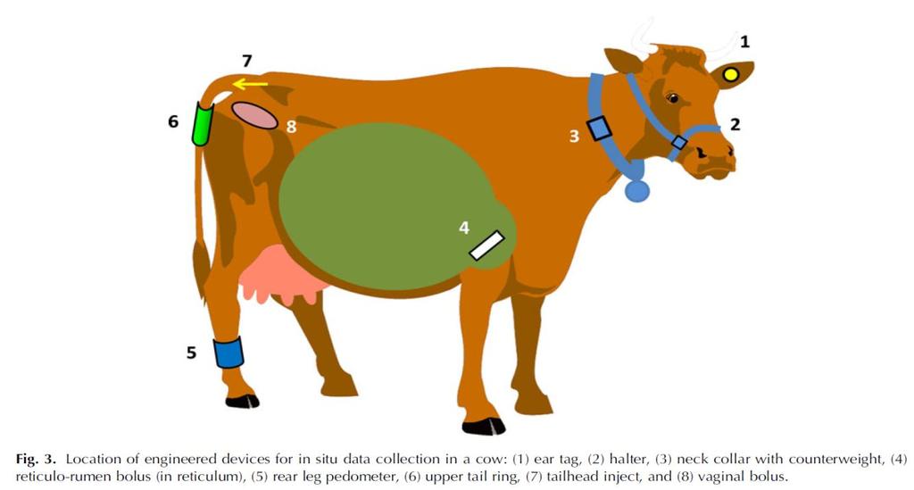 Such data can potentially help the decision making process, enabling early detection of health or wellbeing problems in