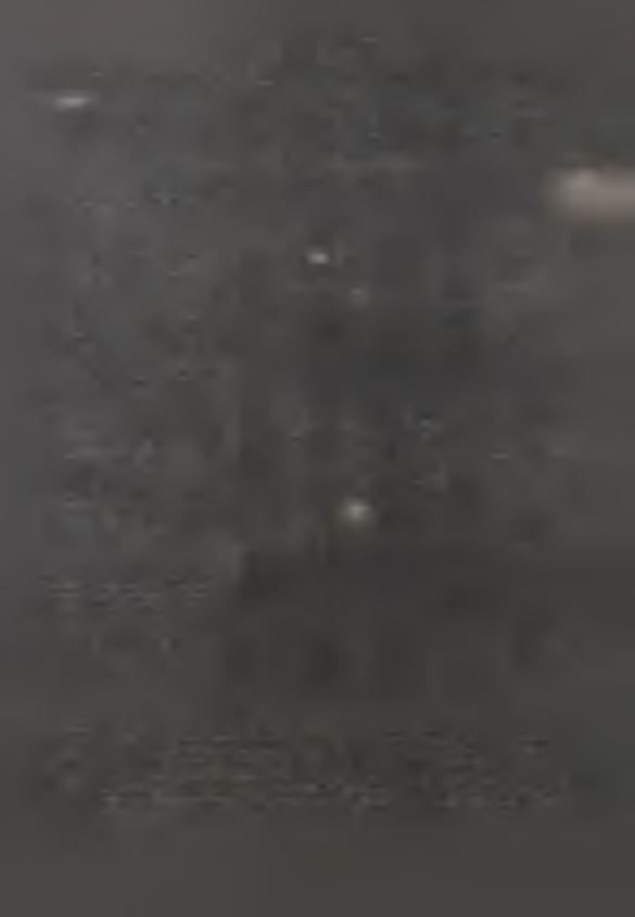 . P O D STAWO WE W S K A Ź N K D O T Y C Z Ą C E D Z A Ł A L N O Ś C G O S P O D A R C Z E J W 99 R. /d o k.