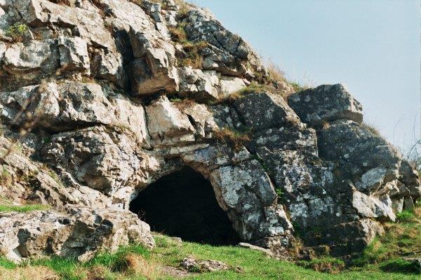 Ostoja Jeleniowska jest to specjalny obszar ochrony siedlisk (Dyrektywa Siedliskowa) o powierzchni 35,89 ha.
