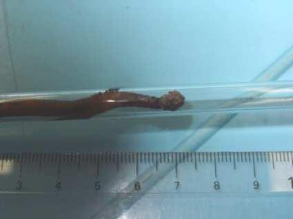 Lhe\ 6[\ZTeXiþ ETYTÄ Abjbj\X]f^\þ =Ta 5eba\fÄTj 7Tj\Wbjf^\þ 5XeaTeW B_X]a\^ laboratoryjnych.