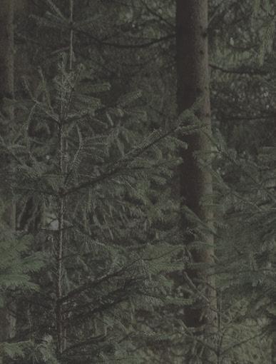 Wielu ludzi nie wie, że recykling zapobiega globalnemu ociepleniu, które bezpośrednio wpływa na klimat na świecie.