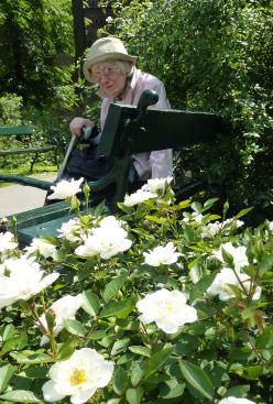 Wspomnienia o zmarłych Halina Bucka (1931-2017) Panią Profesor dr hab. Halinę Bucką poznałam w 1962 r. kiedy podjęłam pracę w Zakładzie Biologii Wód Polskiej Akademii Nauk w Krakowie.