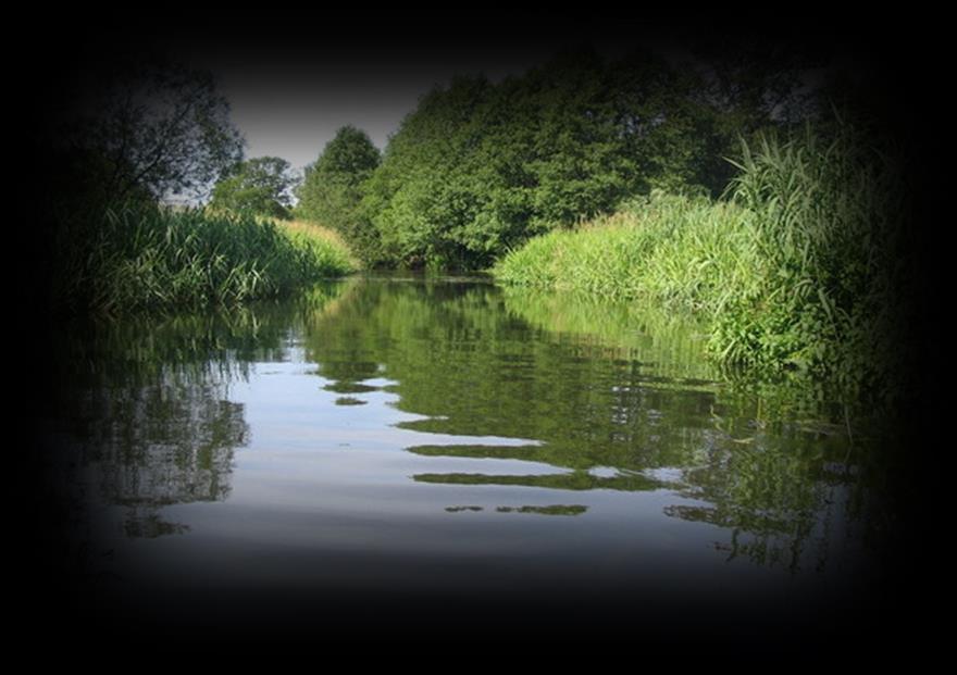 wildlife corridor in the River Drawa basin In Poland / Czynna ochrona siedlisk