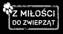 n/gaz